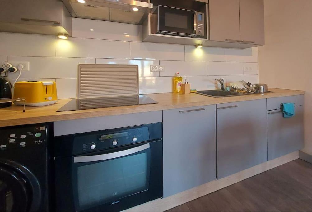 Zenith - Cartoucherie Daire Toulouse Dış mekan fotoğraf